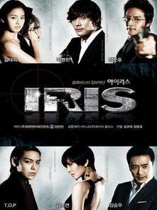iris电视剧在线观看,揭秘神秘组织背后的惊心动魄故事