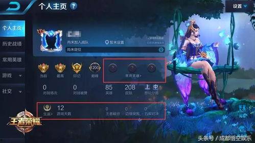 王者怎么看最新爆料消息,揭秘新英雄与版本更新动向