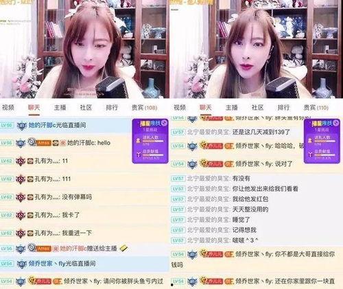 娱乐爆料主播间TXT,TXT背后的故事与精彩瞬间