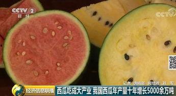 吃瓜群众哄抢免费西瓜,免费西瓜引发的全民哄抢热潮