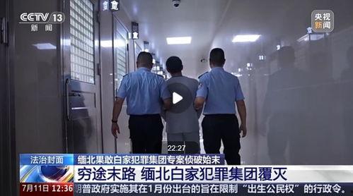 爆料缅甸诈骗博主视频是真的吗,缅甸诈骗博主视频真实性深度剖析