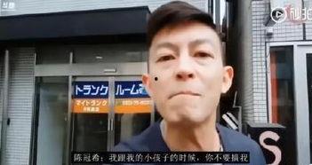 娱乐爆料男主播视频播放,娱乐爆料背后的真相