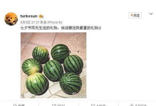 中山网红吃瓜事件,揭秘网络舆论的风云变幻
