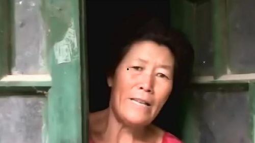 小鱼仙馆爆料视频,独家爆料视频深度解析