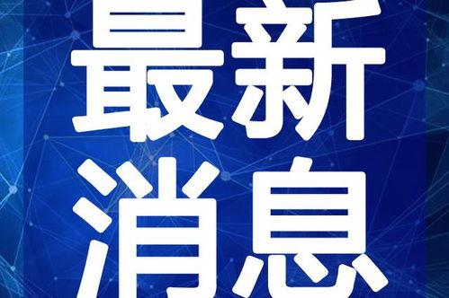 创投大佬爆料视频大全最新,揭秘投资界风云变幻