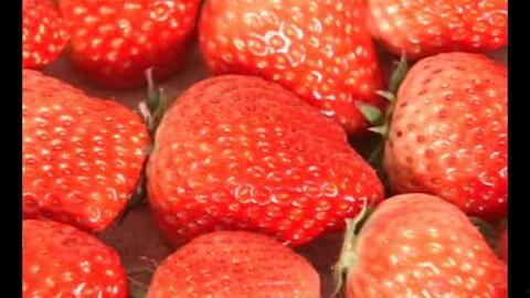 爆料种植草莓视频播放,视频播放带你领略田园风光
