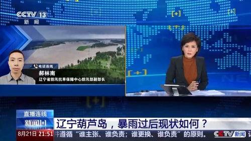 辽宁葫芦岛新闻媒体爆料,葫芦岛某事件引发关注，媒体深入调查揭示真相
