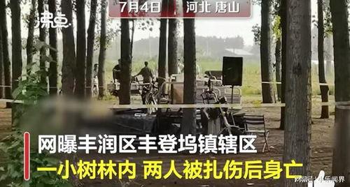 最新唐山爆料案件,真相与争议交织的街头暴力事件