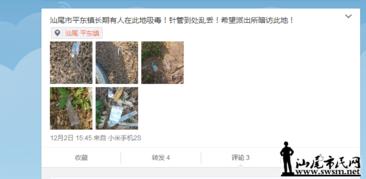 公平镇最新爆料信息网,揭秘幕后真相，一探究竟