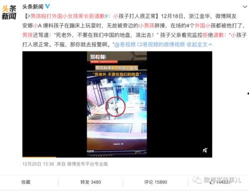 镇平新闻爆料事件视频播放,视频揭示惊人真相