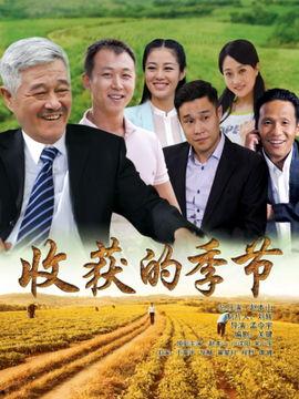 电视剧收获的季节全集在线观看,全集剧情回顾，温情岁月里的感人故事