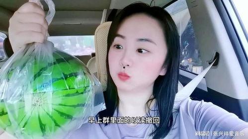 网红吃瓜游戏叫什么,揭秘网络红人的“瓜田”狂欢
