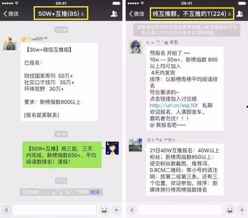 圈内爆料的号有哪些,圈内爆料号背后的热门话题与幕后故事