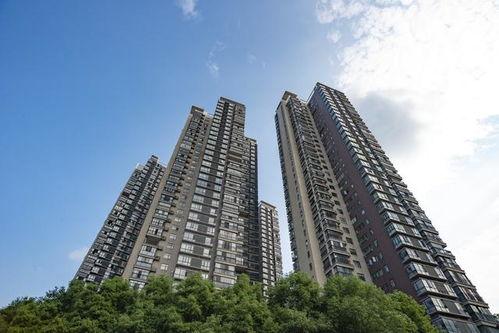 栖霞楼市爆料新闻视频,视频揭秘房价走势与市场动态