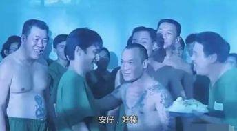 娱乐圈爆料鸟哥小说,揭秘鸟哥小说背后的真实故事