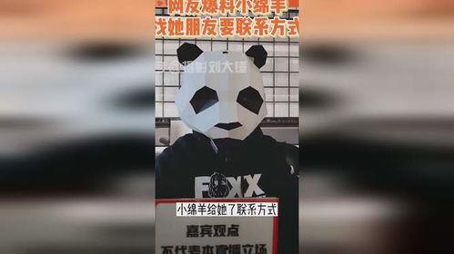 刘大锤最新爆料小绵羊,小绵羊背后的惊人真相