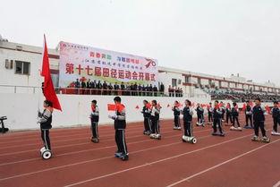 最新爆料致远中学事件,揭秘校园风波背后的真相与反思